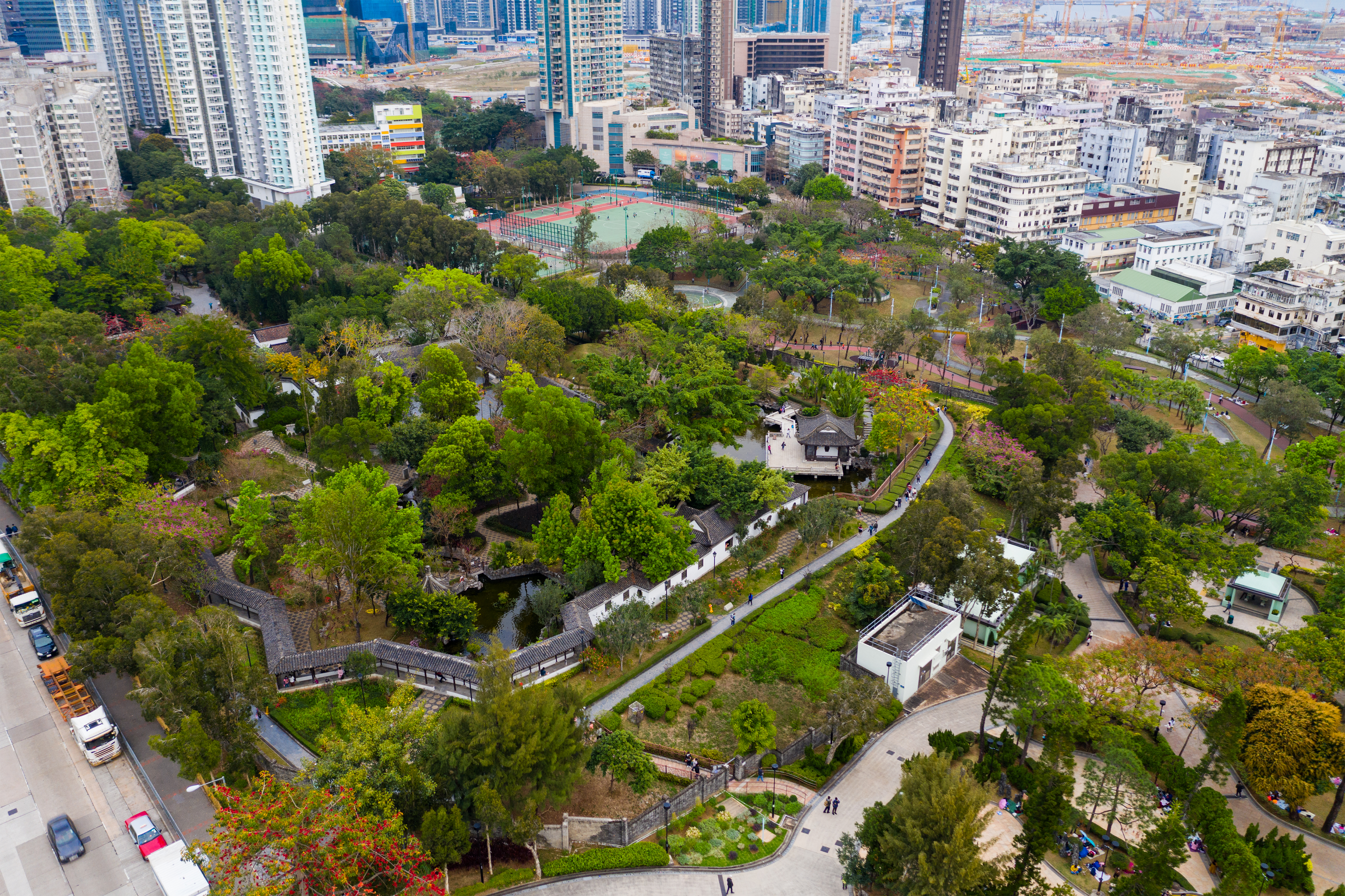 Biodiversidade Urbana